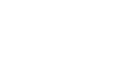 Duskbridge
